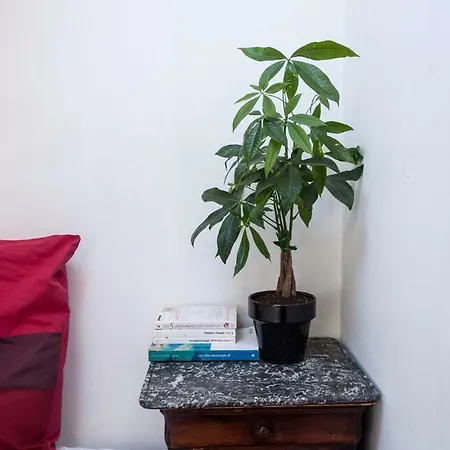 Rose St Germain Des Pres Apartment Paris
