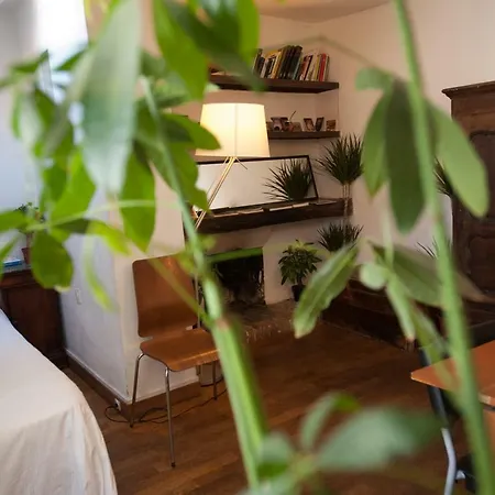 Rose St Germain Des Pres Apartment Paris