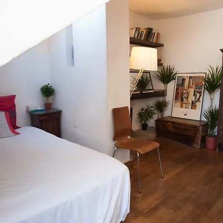 Rose St Germain Des Pres Paris