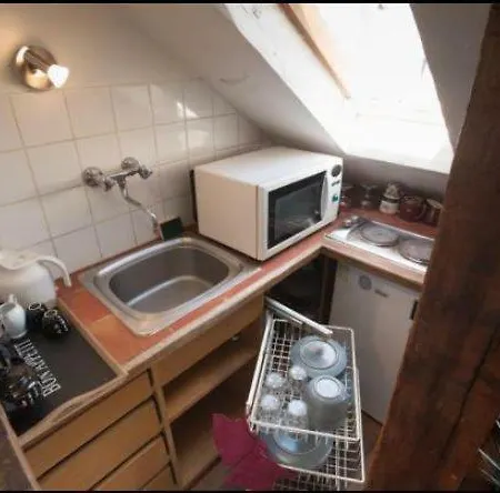 Rose St Germain Des Pres