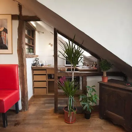 Appartement Rose St Germain Des Pres