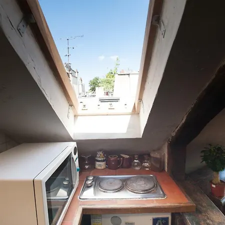 Rose St Germain Des Pres