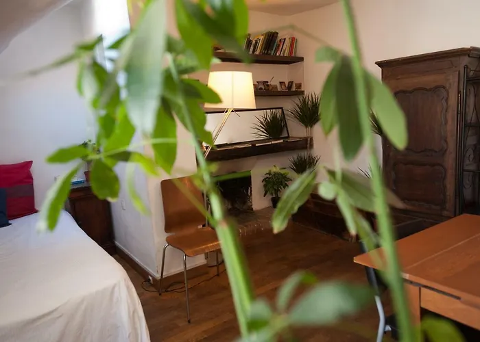 Rose St Germain Des Pres Apartment Paris