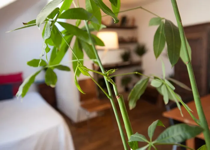 Apartment Rose St Germain Des Pres Paris